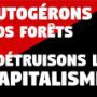 11 octobre : cortège rouge et noir contre le projet de méga scierie à (...)