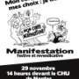 Manif 29/11 Mon corps, mes droits, mes choix : Je décide !